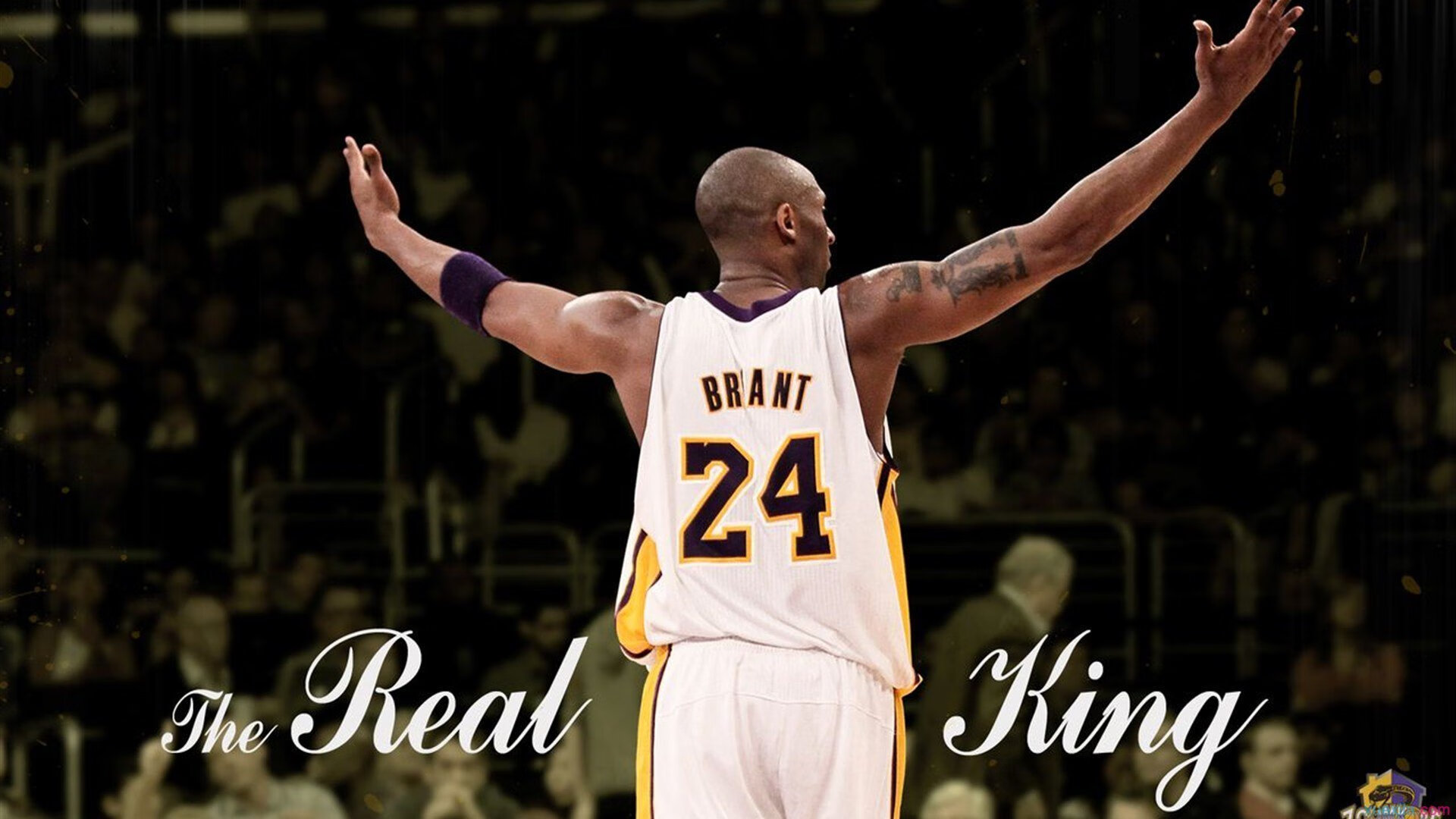 球队主场训练节奏加快，球队主场作战